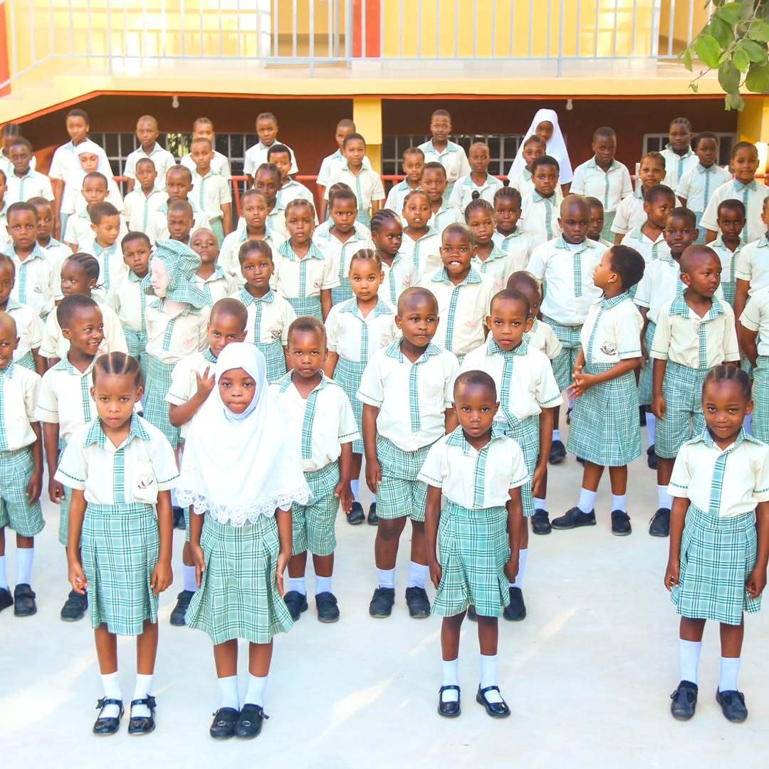 BrainYield Schools Primary Education Program